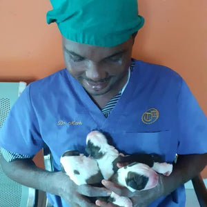 Donate to SaintMarks Animal Hospital in Africa