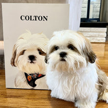 Load image into Gallery viewer, The Passport - Custom Pet Canvas